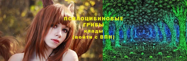ешки Каменногорск