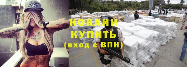 ешки Каменногорск