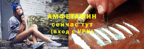 ешки Каменногорск