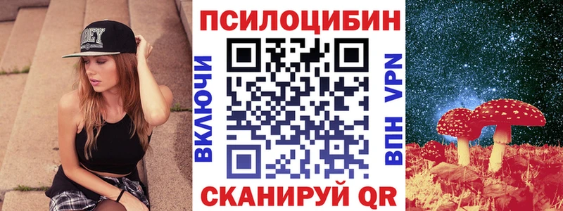 Купить где  Бирюч  Псилоцибиновые грибы Cubensis 